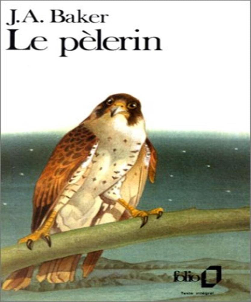 Le Pèlerin 9782070381692