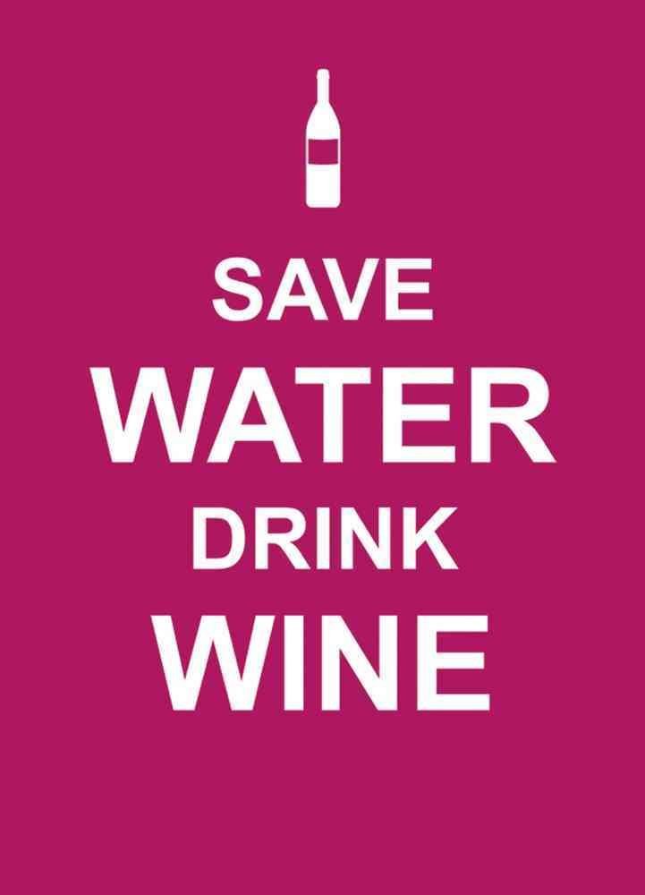 Save Water, Drink Wine 9781849532693