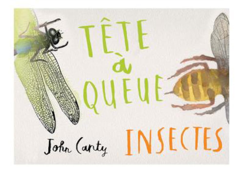 Tête à queue - Insectes 9782362901164
