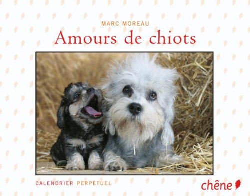 Amours de chiots 9782842779634