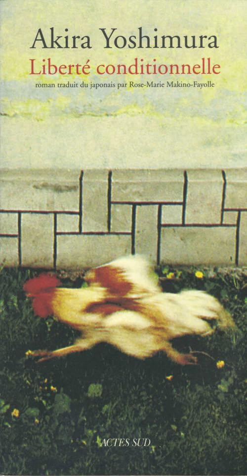 Liberté conditionnelle 9782742733231