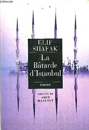 La batarde d'Istanbul 9782286035860