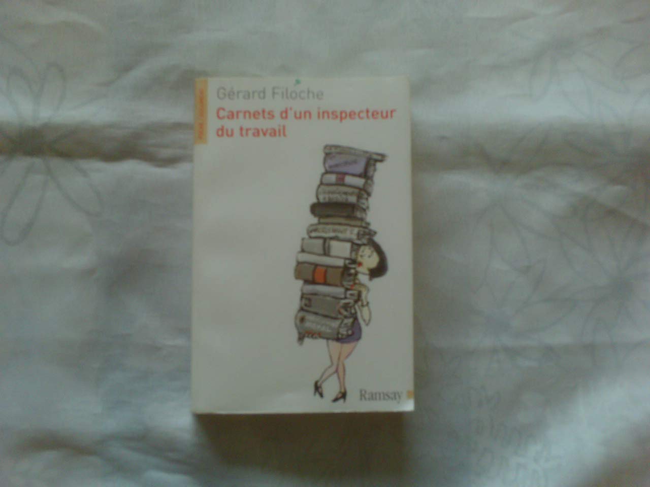 Carnets d'un inspecteur du travail 9782841147564