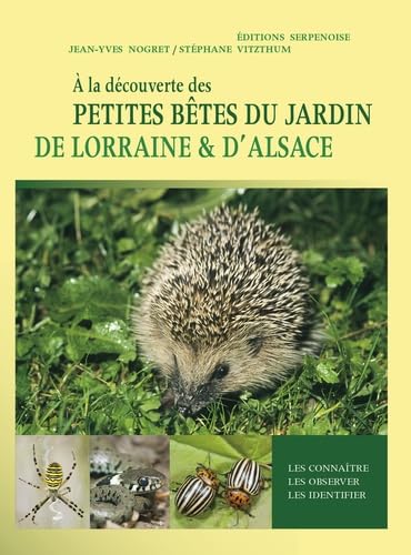 A la découverte des petites bêtes du jardin 9782876929333