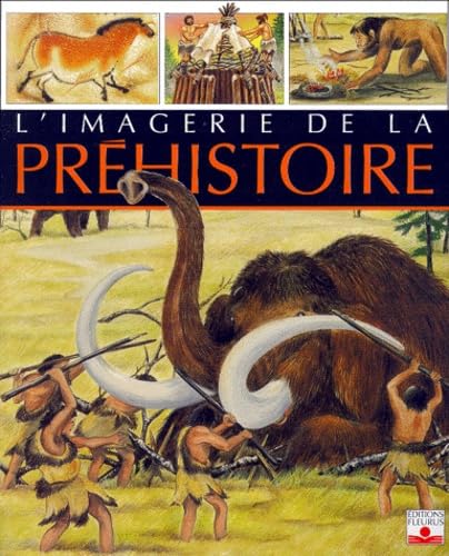 L'imagerie de la préhistoire 9782215063247