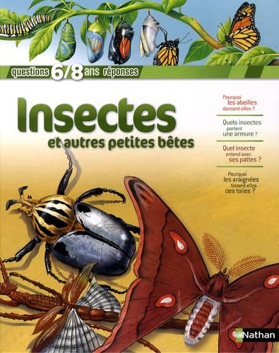 INSECTES 9782092523384