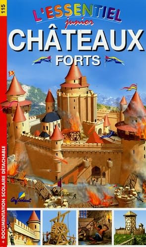 Châteaux forts 9782840644521