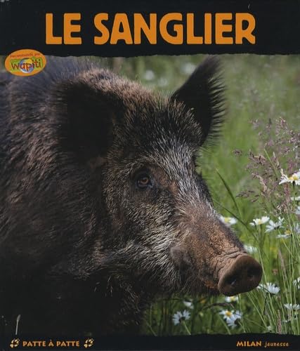Le sanglier 9782745931528