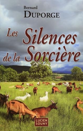 Les silences de la sorcière 9782848861470