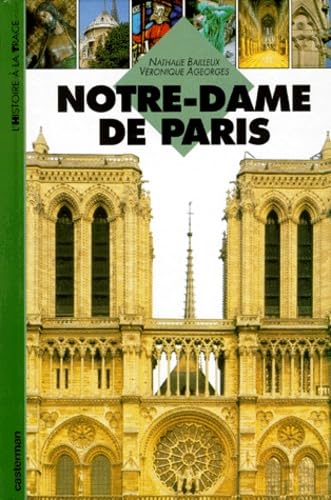 Notre dame de paris, cathedrale de l'histoire de france 9782203141094