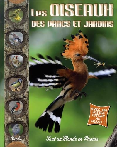 Les oiseaux des parcs et jardins: Avec un poster offert au verso ! 9782753044319