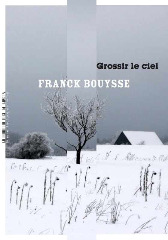 Grossir le ciel 9782358872577