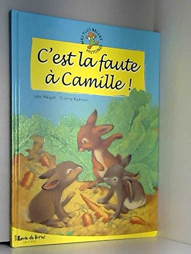 C'est la faute à Camille ! (Mes plus belles histoires) 9782754202206