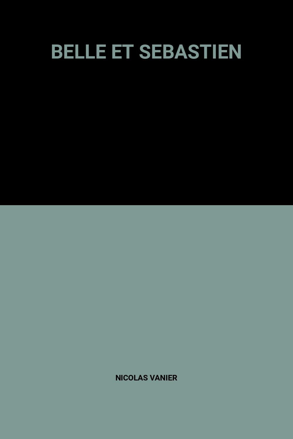 BELLE ET SEBASTIEN 9782298073249