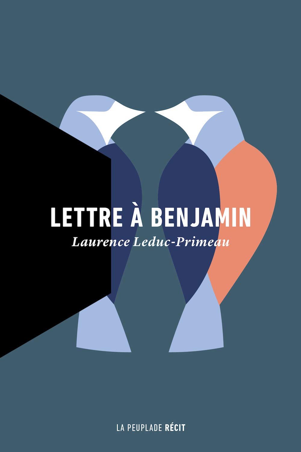 Lettre à Benjamin 9782924898895
