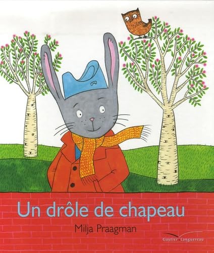 Un drôle de chapeau 9782013913195
