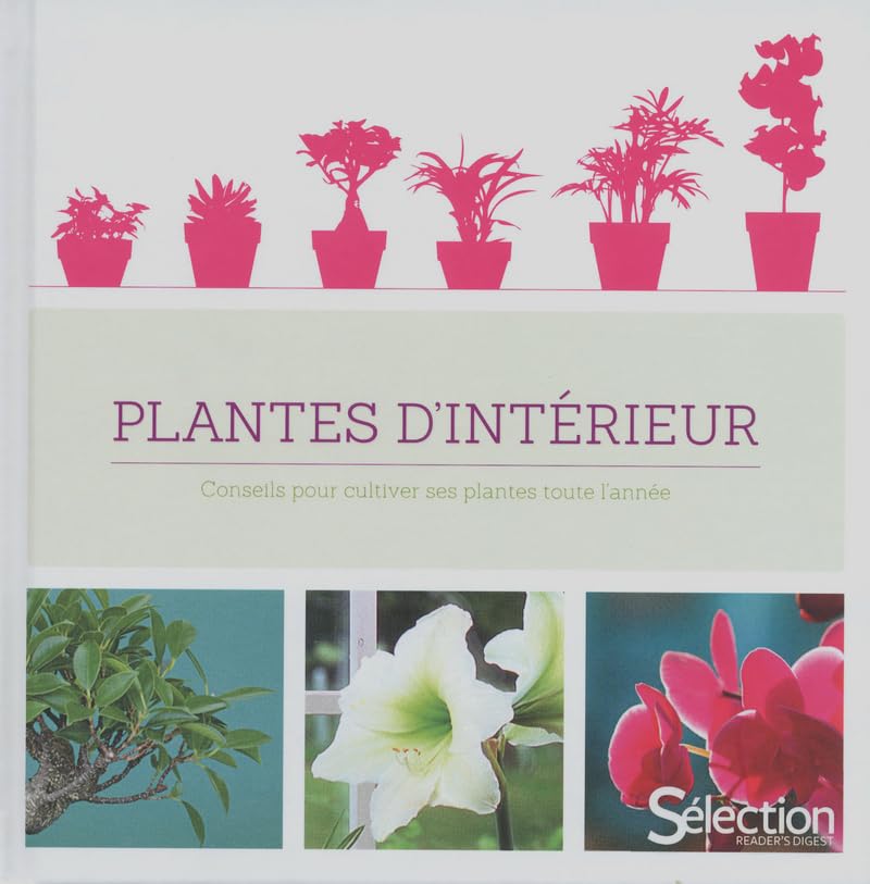 Plantes d'intérieur 9782709824088