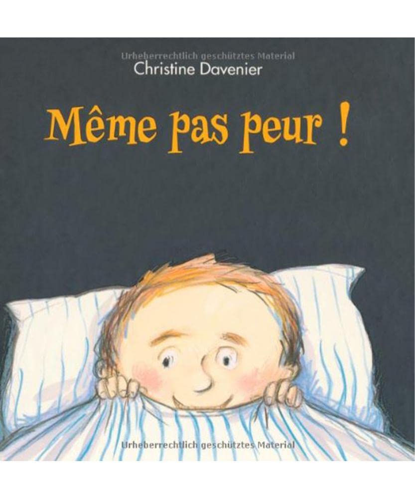 meme pas peur 9782877676823