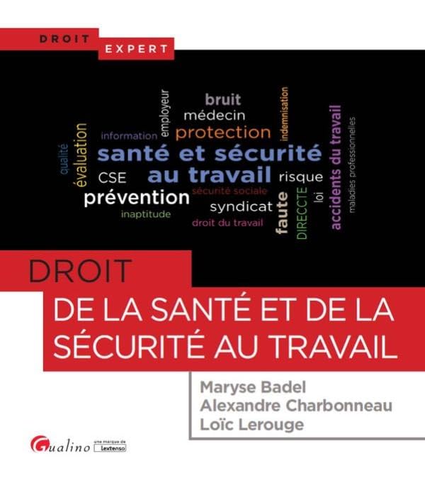 DROIT DE LA SANTE ET DE LA SECURITE AU TRAVAIL 9782297067294