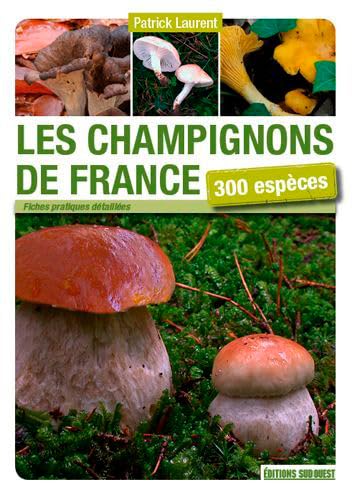 Champignons De France 9782817704234