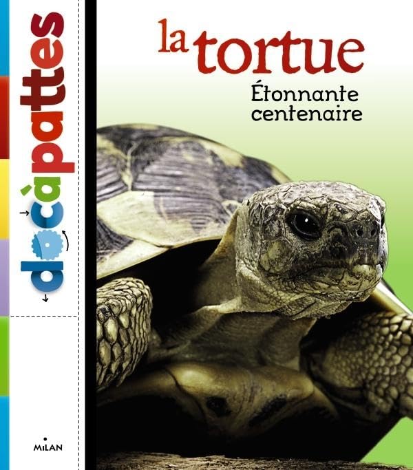 La tortue 9782745958266