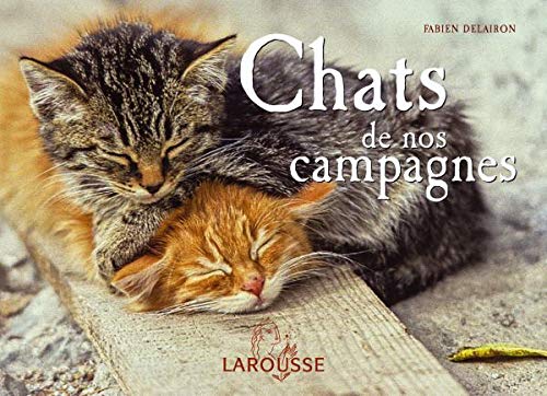 Chats de nos campagnes 9782035822598