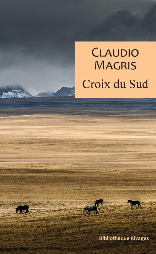 Croix du sud: Trois vies vraies et improbables 9782743653712