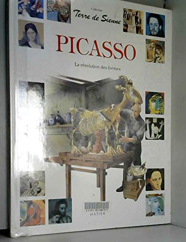 Picasso. La Revolution Des Formes 9782218069963