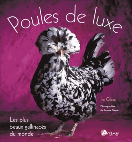 Les poules de luxe 9782844161437