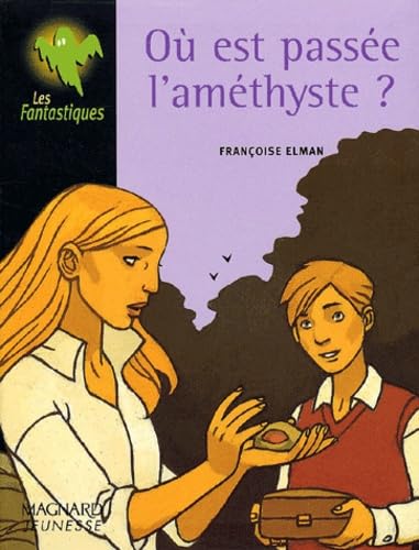 Où est passée l'améthyste ? 9782210984257