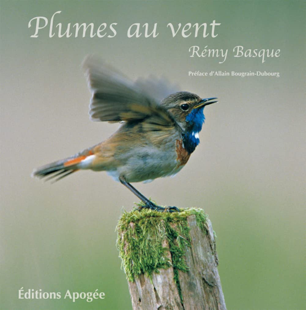 Plumes au vent 9782843983092