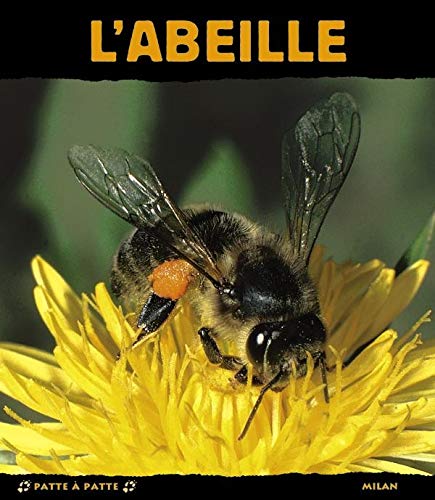 L'Abeille 9782745905994