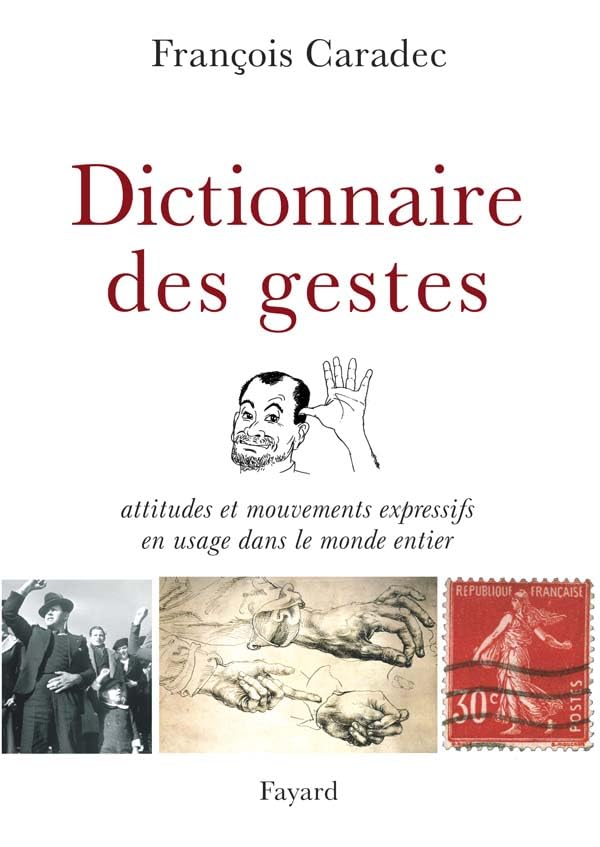 Dictionnaire des gestes: Attitudes et mouvements expressifs en usage dans le monde entier 9782213624921