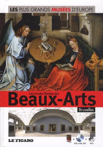 Les musées royaux des Beaux-Arts : Bruxelles, tome 15 9782810503216