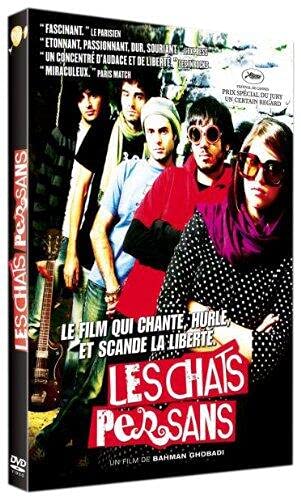 Les Chats persans 3388330037871