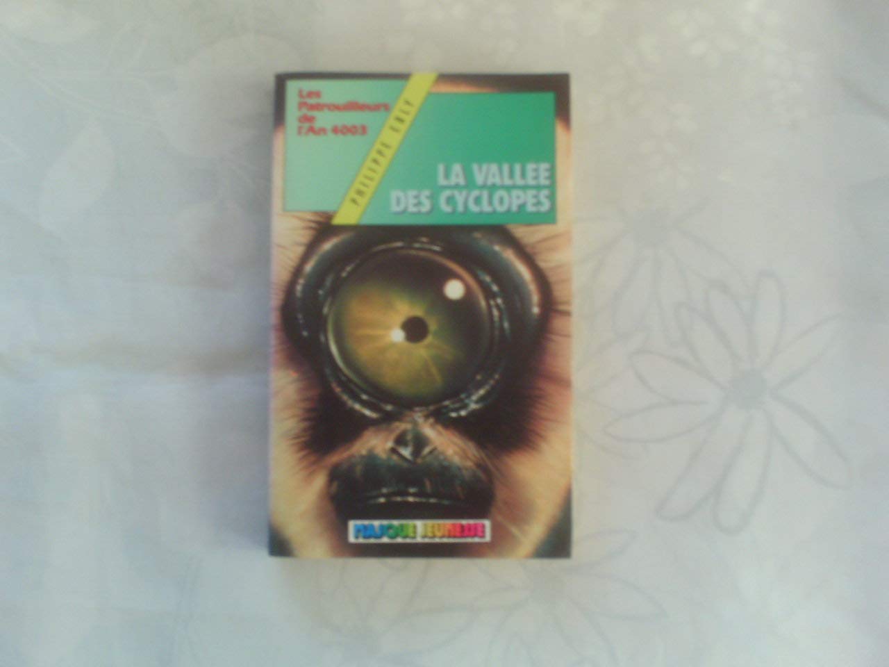 La Vallée des cyclopes (Les Patrouilleurs de l'an 4003) 9782010098987
