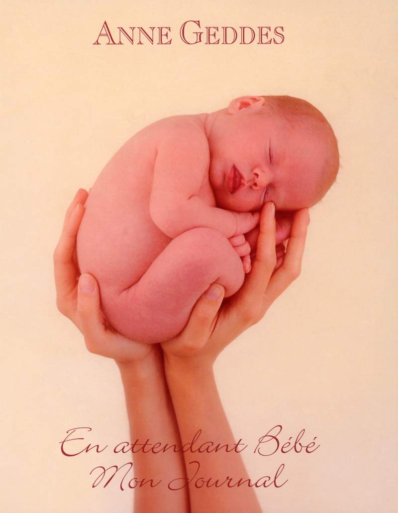 En attendant bébé : Mon journal 9782258063112