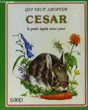 QUI VEUT ADOPTER CESAR LE PETIT LAPIN SANS PEUR 9782737270048