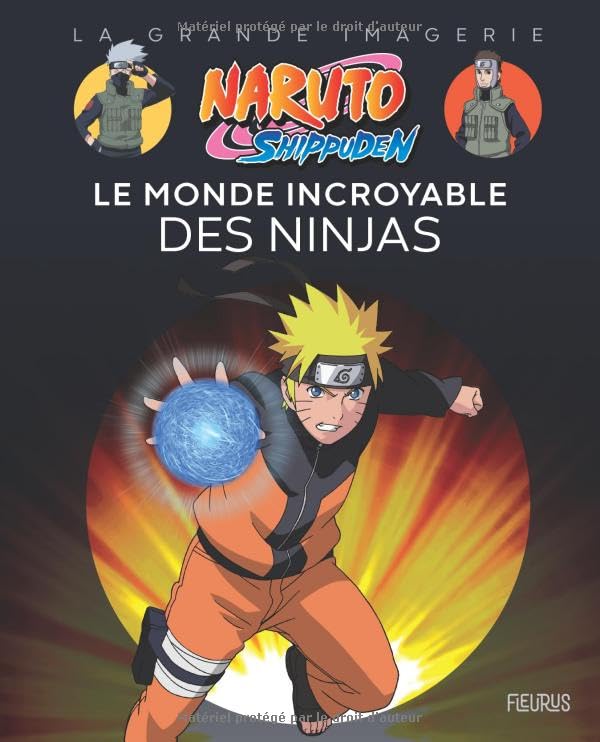 Naruto Shippuden - Le monde incroyable des ninjas 9782215186236