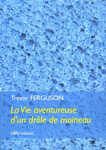 La Vie aventureuse d'un drôle de moineau 9782351970010
