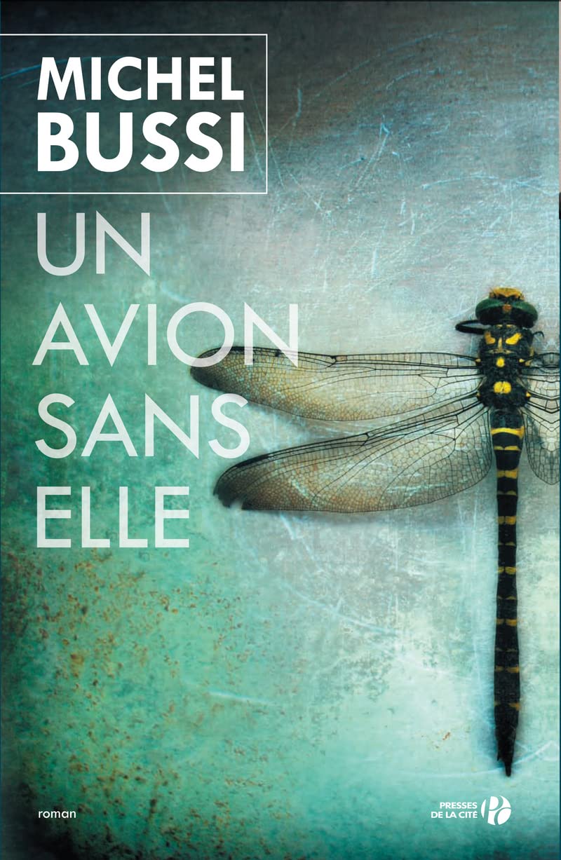 Un avion sans elle - Prix Maison de la Presse 2012 9782258109063