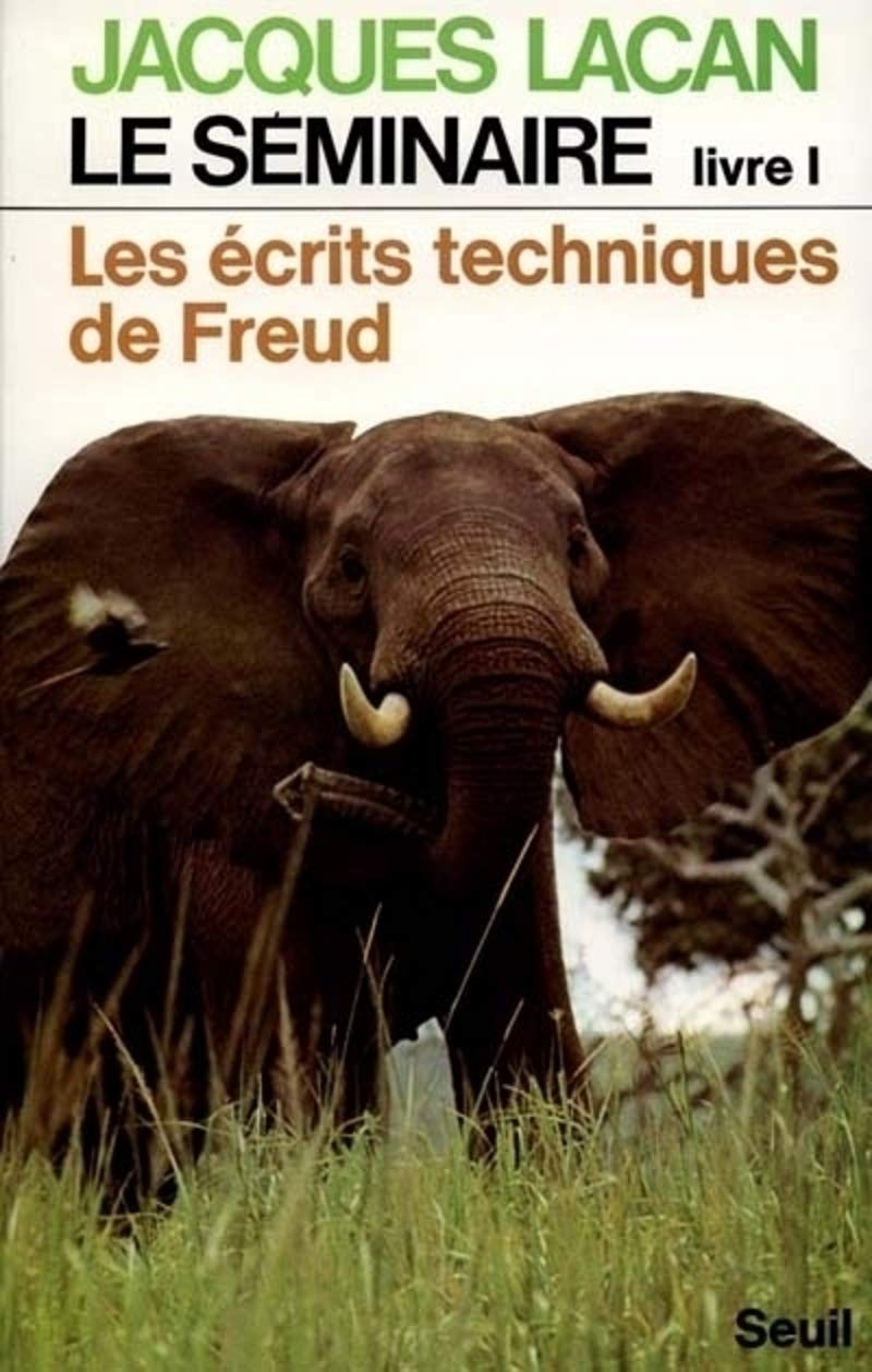 Le séminaire livre 1 : Les écrits techniques de Freud 9782020027687