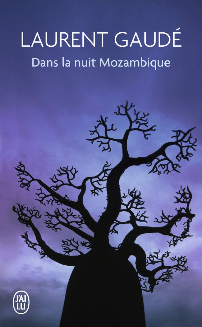 Dans la nuit mozambique: Et autres récits 9782290036662