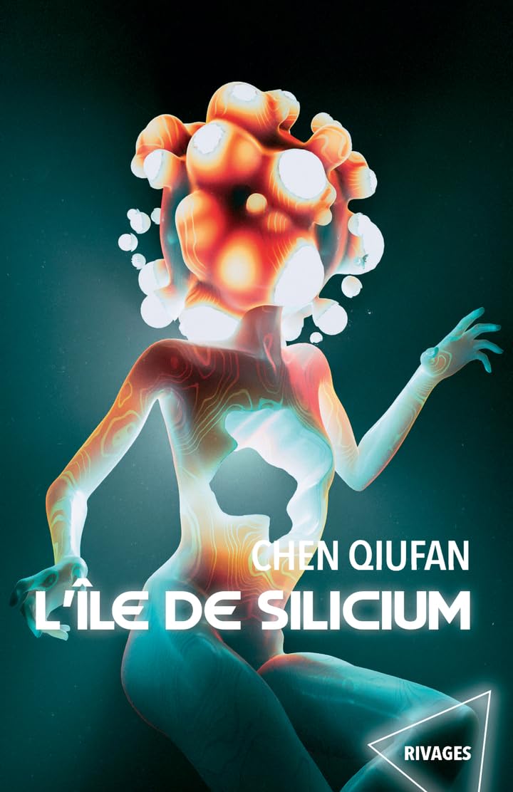 L'île de Silicium 9782743664862