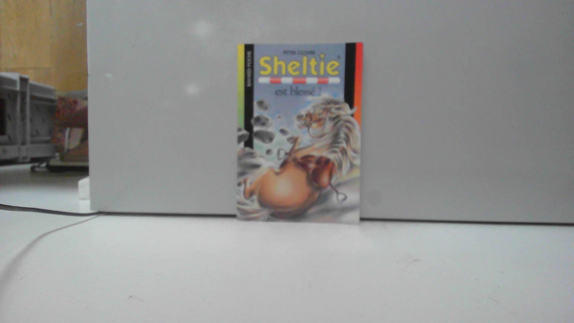 Sheltie, tome 20 : Sheltie est blessé ! 9782747011938