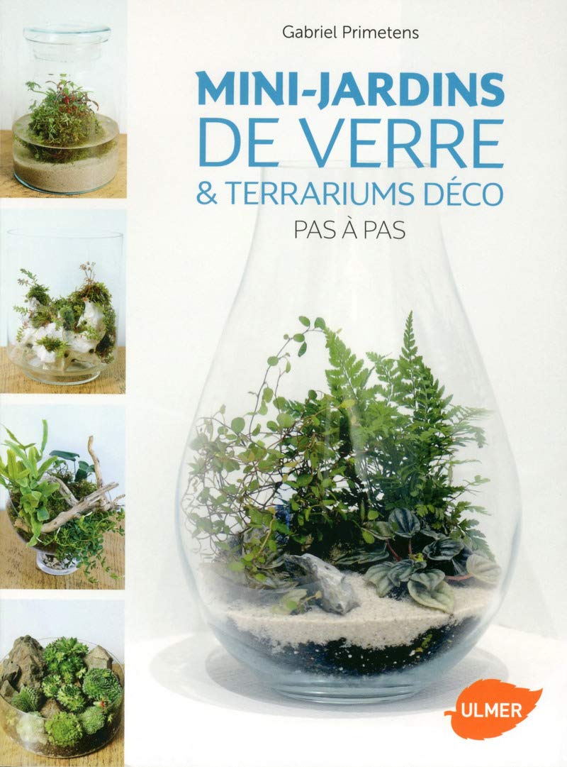 Mini-jardins de verre & Terrariums déco Pas à Pas 9782841388486