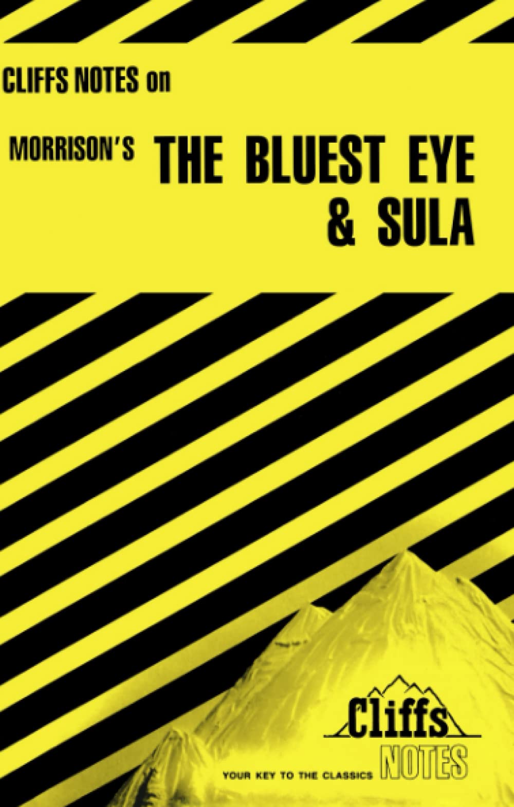 CliffsNotes on Morrison's The Bluest Eye & Sula 9780822002512