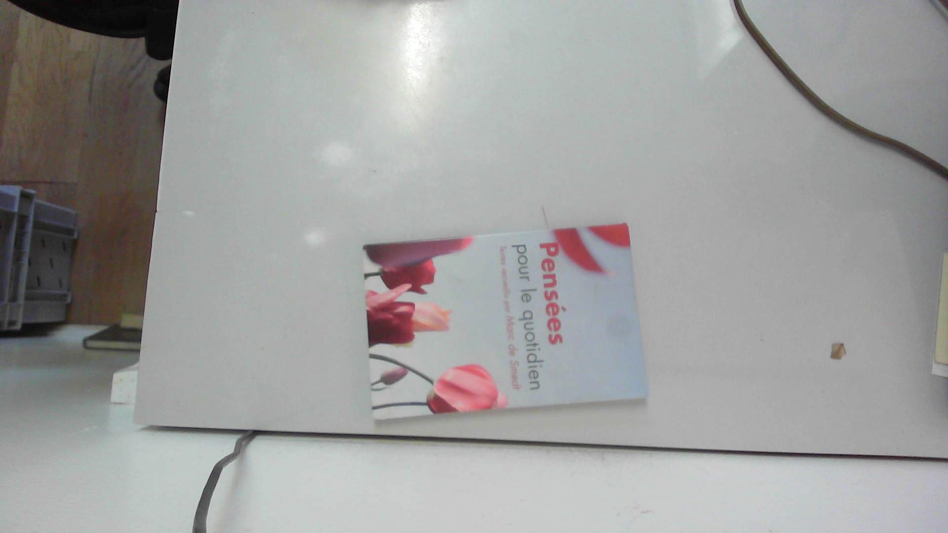 Gilles de rais ou la gueule du loup 9782286039059