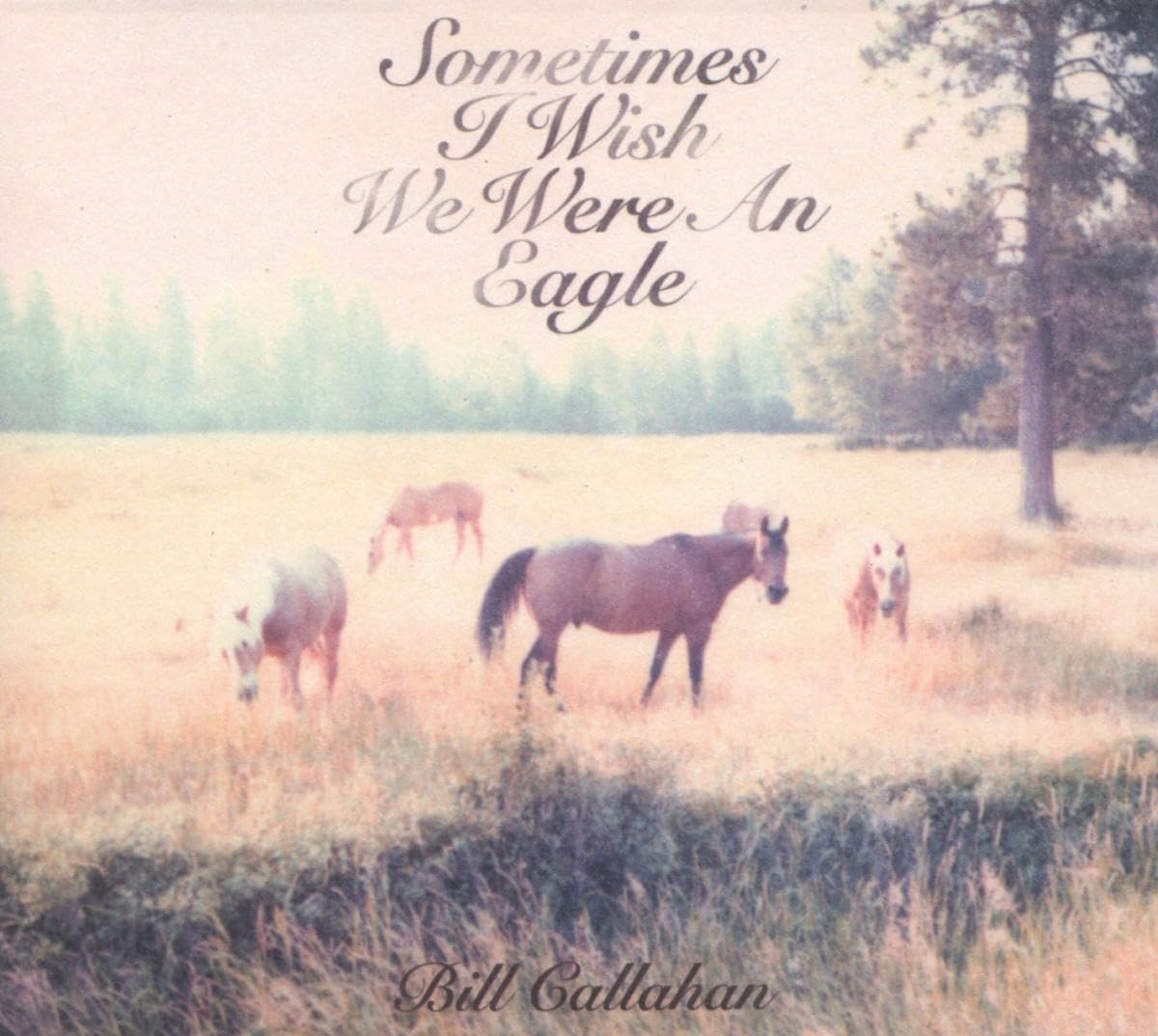 Sometimes I Wish We Were An Eagle , Bill Callahan 0781484038528