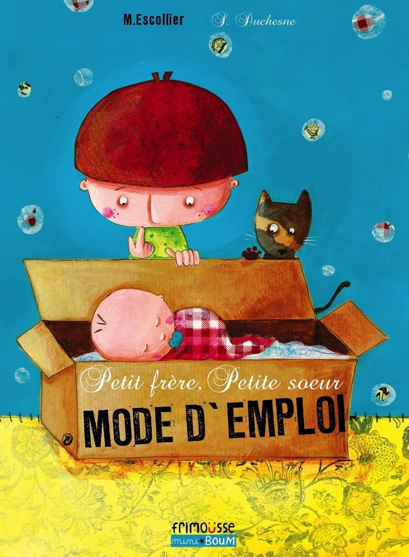 Petit frère, petite soeur, mode d'emploi 9782352411604
